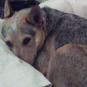 Meet your Posher, Lynne